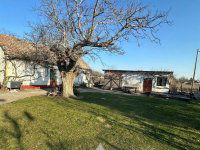 Eladó családi ház, Kecskeméten 38.9 M Ft, 1 szobás