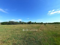 Eladó családi ház, Nagykőrösön 9.99 M Ft