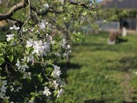 Eladó családi ház, XVIII. kerületben 199 M Ft, 7 szobás