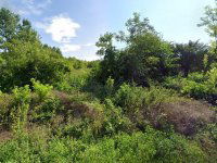 Eladó telek, Ordacsehin 13 M Ft / költözzbe.hu