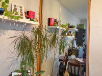 Eladó téglalakás, Győrött, Ipar utcában 34.8 M Ft, 1+1 szobás