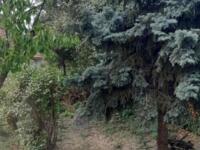 Eladó ikerház, Budaörsön, József Attila utcában 64.99 M Ft