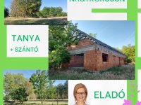 Eladó mezogazdasagi ingatlan, Nagykőrösön 11.68 M Ft