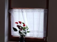 Eladó mezogazdasagi ingatlan