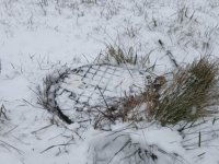 Eladó telek, Pusztavacson 8.5 M Ft / költözzbe.hu