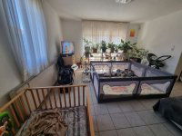 Eladó családi ház, Szigetszentmiklóson 98.9 M Ft, 5 szobás