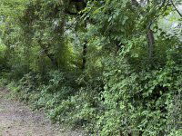 Eladó mezogazdasagi ingatlan, Balatongyörökön 20 M Ft