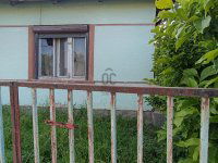 Eladó családi ház, Gelsén 4.9 M Ft, 3 szobás