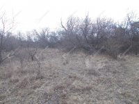 Eladó telek, Iszkaszentgyörgyön 220 M Ft / költözzbe.hu