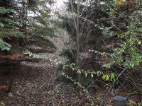 Eladó ipari ingatlan