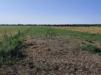 Eladó mezogazdasagi ingatlan, Szigetszentmiklóson 30 M Ft