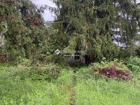 Eladó telek, II. kerületben 99 M Ft / költözzbe.hu