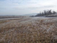 Eladó mezogazdasagi ingatlan