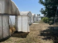 Eladó mezogazdasagi ingatlan, Nagykőrösön 15 M Ft, 3 szobás