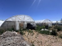 Eladó mezogazdasagi ingatlan, Szentesen 8 M Ft