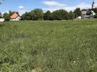 Eladó telek, Balatonfőkajáron 23 M Ft / költözzbe.hu