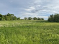 Eladó mezogazdasagi ingatlan, Győrött 11.9 M Ft