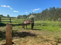 Eladó mezogazdasagi ingatlan