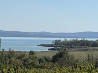 Eladó nyaraló, Csopakon 85 M Ft, 1+3 szobás