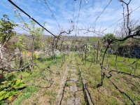 Eladó nyaraló, Pákozdon 29.9 M Ft, 2 szobás