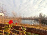 Eladó családi ház, Dunaharasztin 217 M Ft, 3 szobás