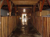 Eladó mezogazdasagi ingatlan, Nagytarcsán 99 M Ft, 1 szobás