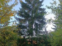 Eladó telek, Solymáron 69.9 M Ft / költözzbe.hu