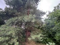 Eladó telek, Monoron 11.99 M Ft / költözzbe.hu