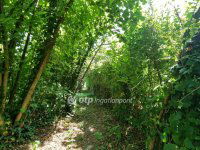 Eladó nyaraló, Ráckevén 17 M Ft, 1 szobás