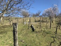 Eladó telek, Móron 15.5 M Ft / költözzbe.hu