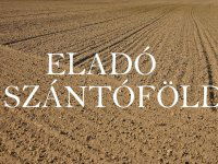 Eladó telek