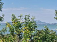 Eladó családi ház, Balatonfenyvesen 249 M Ft, 4 szobás