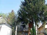 Eladó családi ház, Zalaegerszegen 12.7 M Ft, 2 szobás