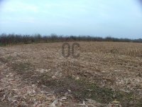 Eladó mezogazdasagi ingatlan, Debrecenben 14.9 M Ft