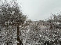 Eladó családi ház, Kecskeméten 17.99 M Ft, 1 szobás