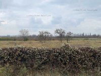 Eladó ipari ingatlan