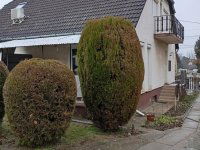 Eladó családi ház, Tolnán 79.99 M Ft, 5 szobás