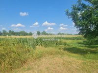 Eladó mezogazdasagi ingatlan, Vecsésen 275 M Ft