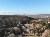 Eladó családi ház, Budakeszin 235 M Ft, 3+2 szobás