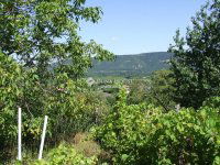 Eladó telek, Esztergomban 19.99 M Ft / költözzbe.hu