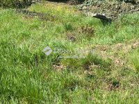 Eladó telek, II. kerületben 335 M Ft / költözzbe.hu