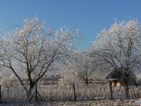 Eladó mezogazdasagi ingatlan, Monoron 7.5 M Ft