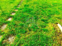 Eladó telek, Kistarcsán 38.8 M Ft / költözzbe.hu