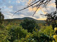 Eladó téglalakás, II. kerületben 169 M Ft, 5 szobás