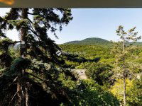 Eladó téglalakás, II. kerületben 169 M Ft, 4 szobás