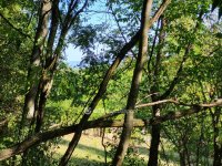 Eladó telek, Siófokon 39 M Ft / költözzbe.hu