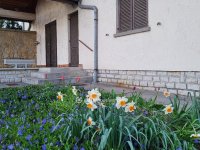 Eladó családi ház, Zamárdiban 105 M Ft, 6+2 szobás