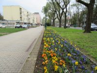 Eladó téglalakás, Hajdúszoboszlón 45 M Ft, 2 szobás