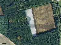 Eladó mezogazdasagi ingatlan, Tiborszálláson 7.5 M Ft