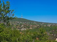 Eladó telek, Pécsett, Bogár dűlőn 6.7 M Ft